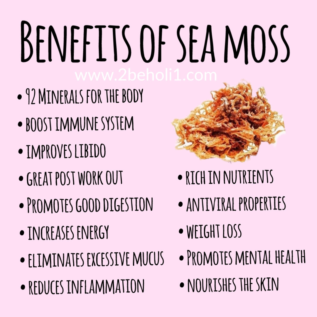 Gel Sea Moss- Plain