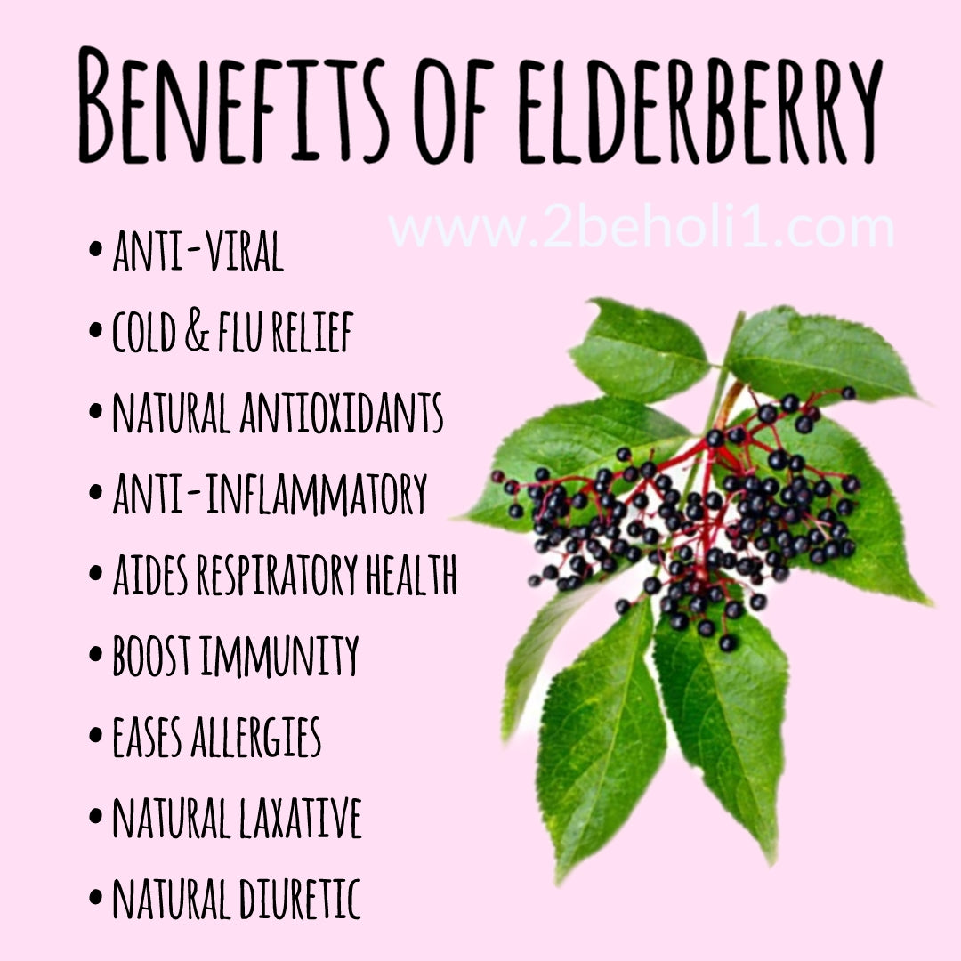 Gel Sea Moss- Elderberry